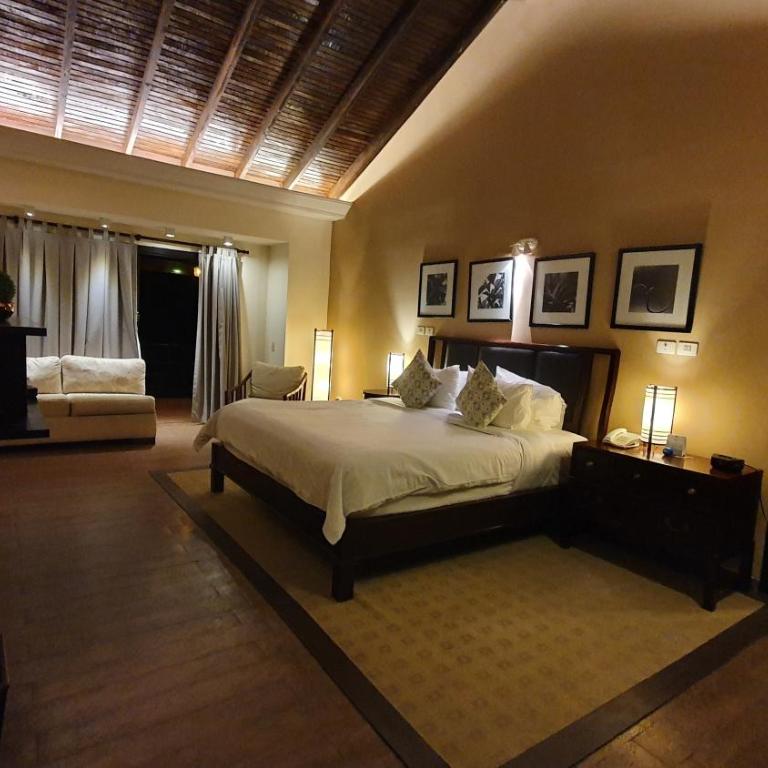 Alta Gracia Parque Hotel - Junior Suite with Balcony - 5