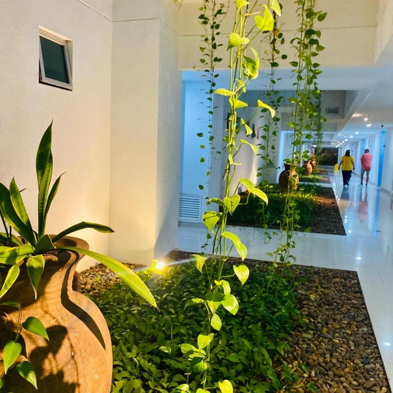 MORROS EPIC luxury - One-Bedroom Apartment - 59