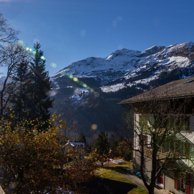 Chalet Schweizerhof 1 - Apartment mit Blick auf die Berge - 12