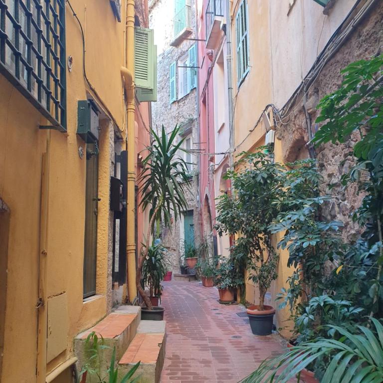 Charmant studio avec coin nuit - vieille ville CLIMATISE - Appartement 1 Chambre - 26