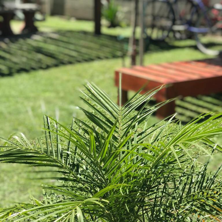 Un lugar en Monte - Casa - 5