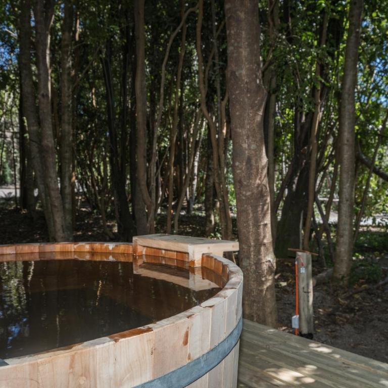 Cabañas Ensenada Bosque Nativo - Loft - 11
