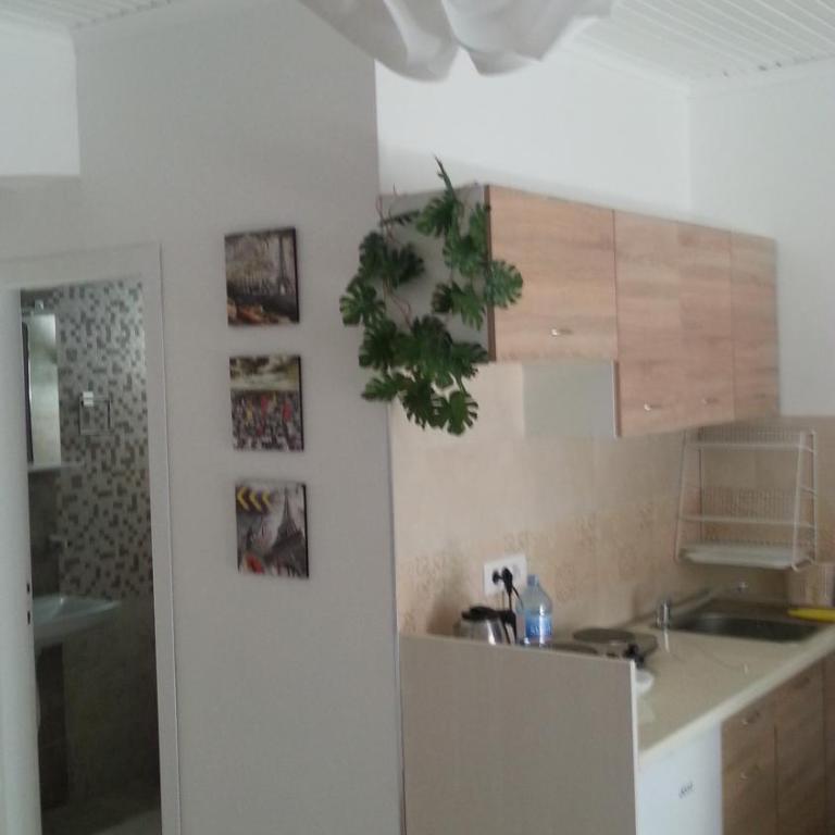 Apartmani Amfora - Igalo - Studio Apartment - 10