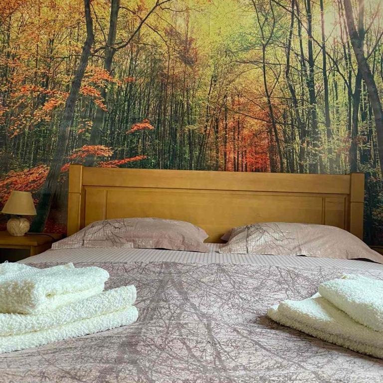 Holiday Homes Durmitorski Gaj - Kuća sa 4 Spavaće Sobe - 8