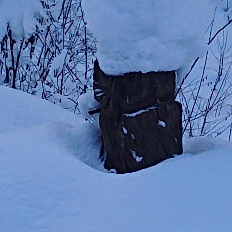 Alpenparadies Grindelwald Komfort Ferienhaus - Haus mit 2 Schlafzimmern - 27