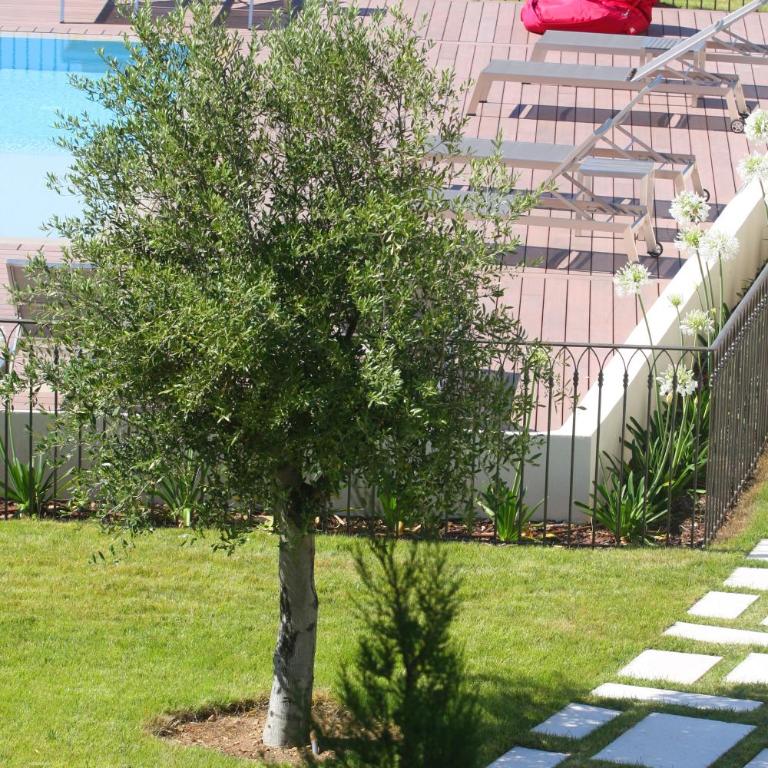 Residence Catherine - Appartement en Duplex - 6
