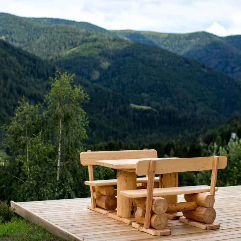 Bergfreude - Ruhe und Aussicht auf 1140m - Apartment mit 1 Schlafzimmer - 3