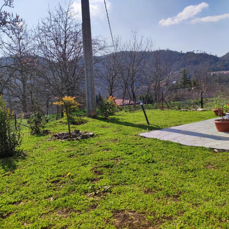 Casa dei giuggioli - Casa con 1 Camera da Letto - 16