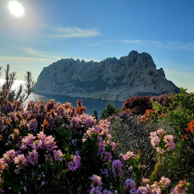 Cabanon du Pêcheur, Parc National des Calanques - Maison 1 Chambre - 22