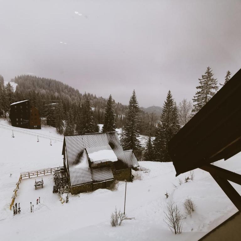 Polar apartman Jahorina - One-Bedroom Apartment - 33