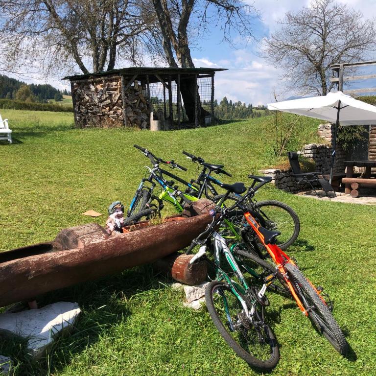 Chalet Maso Pino - Four-Bedroom Chalet - 20