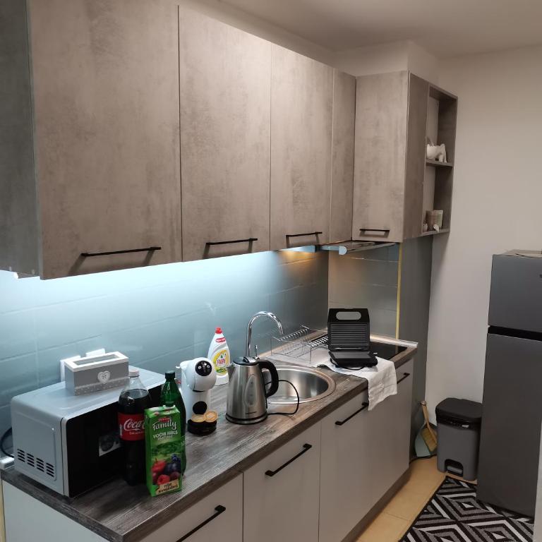 NOVAK apartman - Apartman sa 1 Spavaćom Sobom - 30