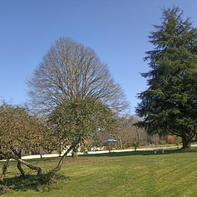Domaine CocoBeach - Maison 3 Chambres - 28
