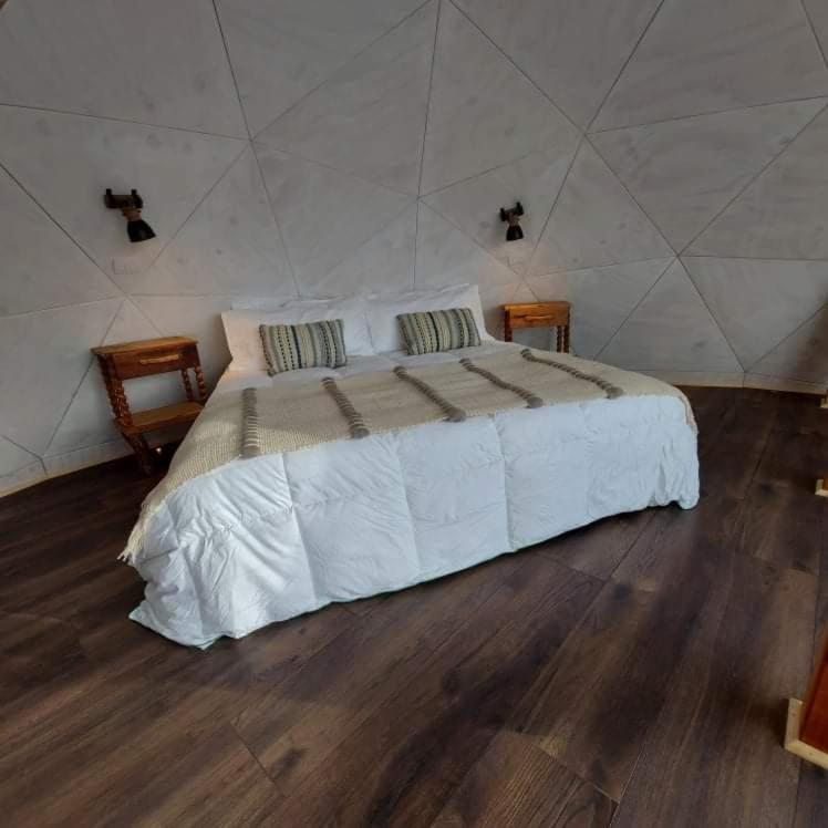 Dome with Stunning Glacier & Mountain Views - One-Bedroom Apartment - 26