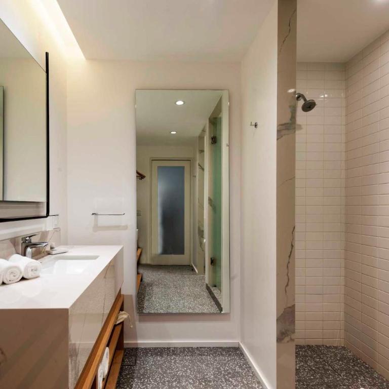 V65 Mx - One-Bedroom Apartment - 2