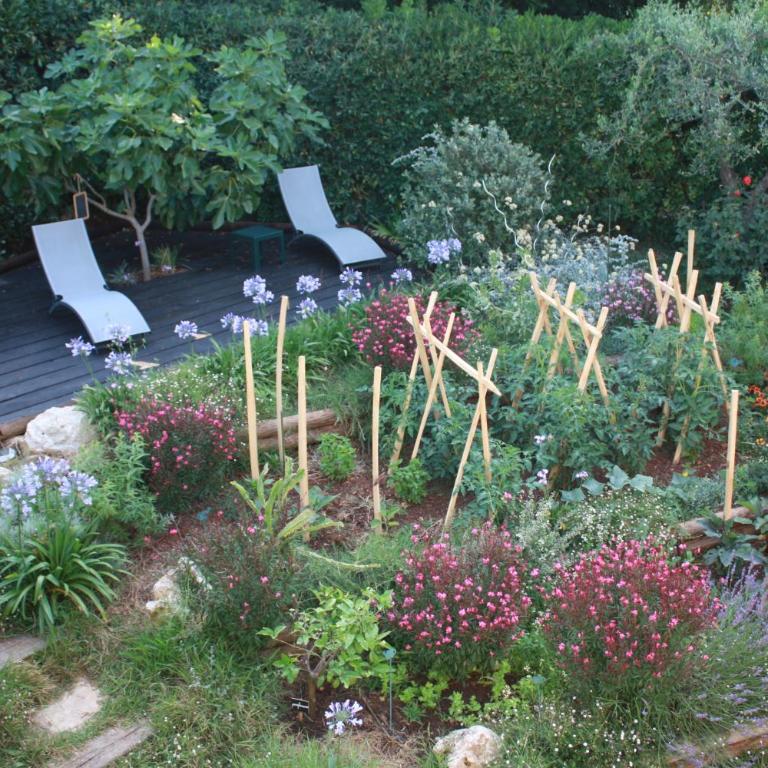 Ecole Buissonnière - Appartement 1 Chambre - 20