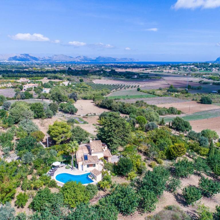 Ideal Property Mallorca - Patufa - Casa - 30