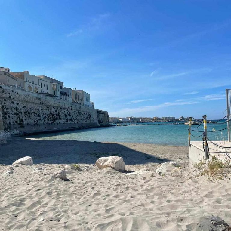 Lo Spioncino Apartments - Appartamento con Balcone - 23
