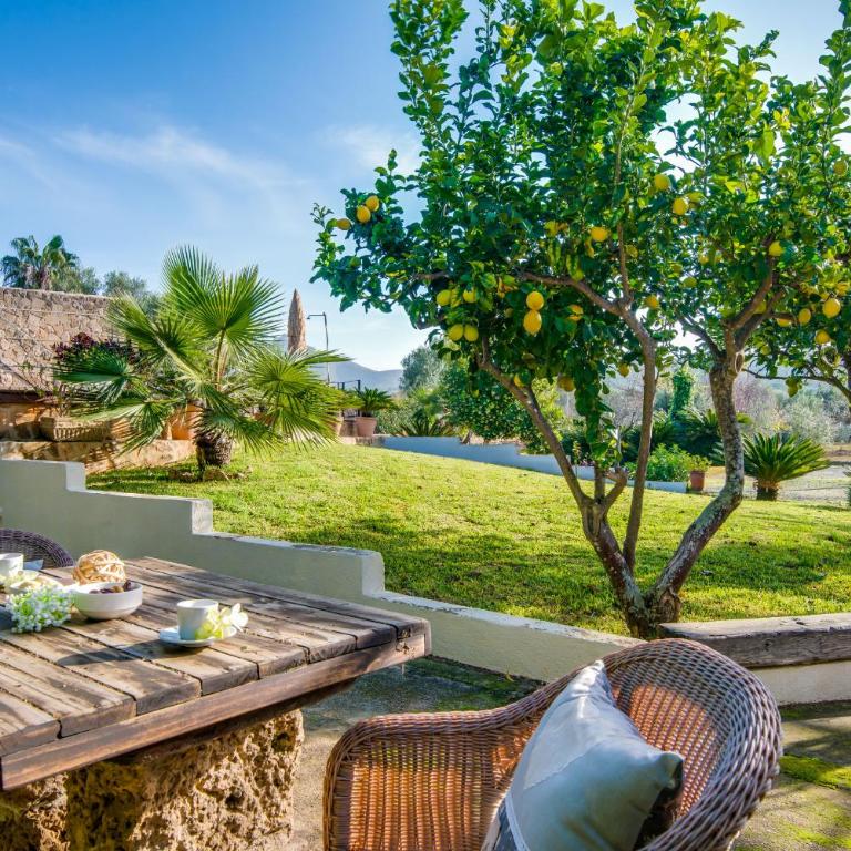 Ideal Property Mallorca - Sa Vinya Vella - Casa - 38
