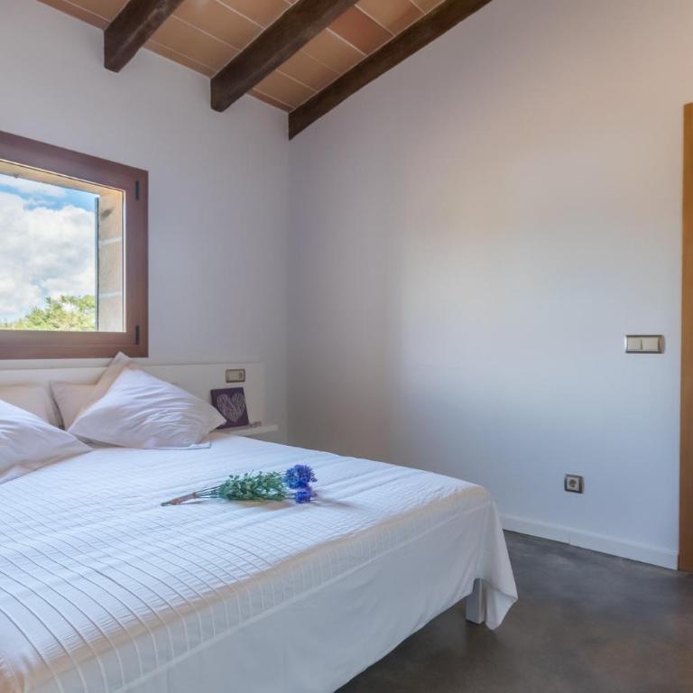 Ideal Property Mallorca - Pleta - Casa - 28