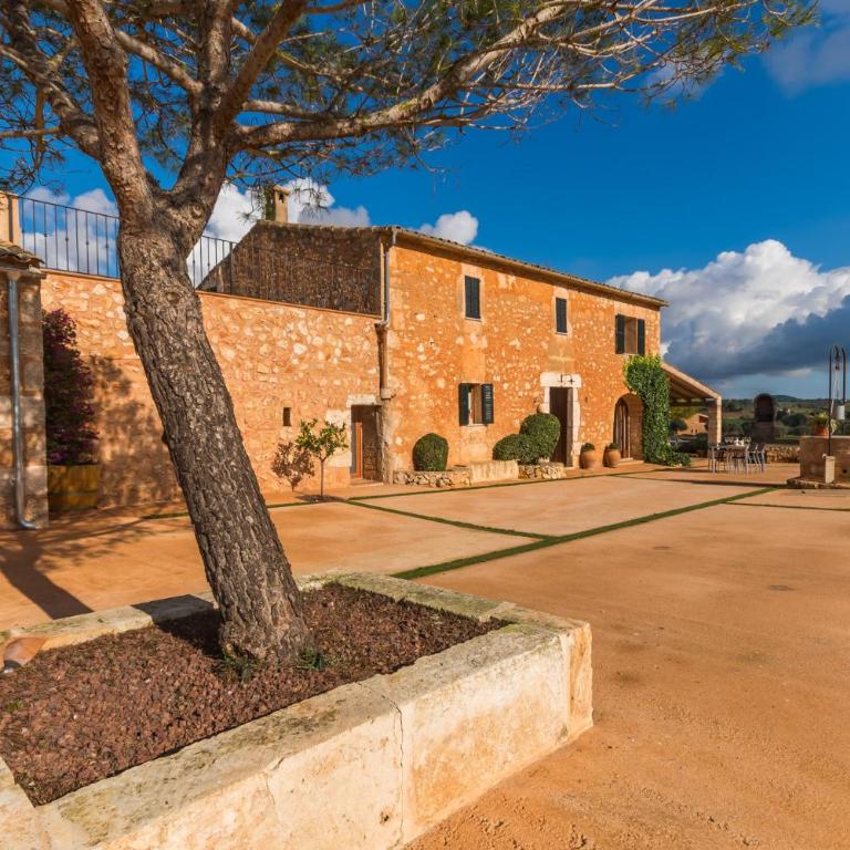 Ideal Property Mallorca - Pleta - Casa - 42