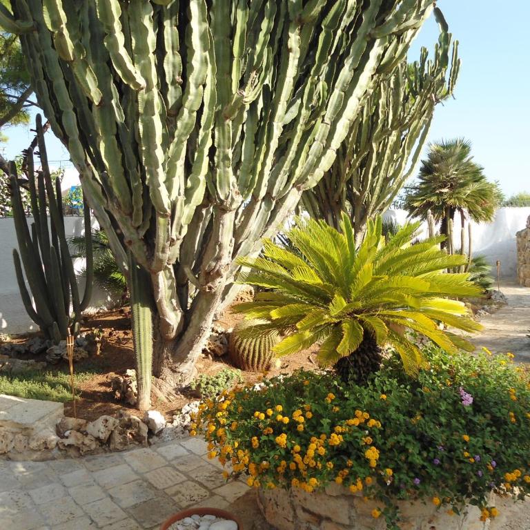Ville Alba & Azzurra Accesso Privato al Mare - Villa mit Meerblick - 17