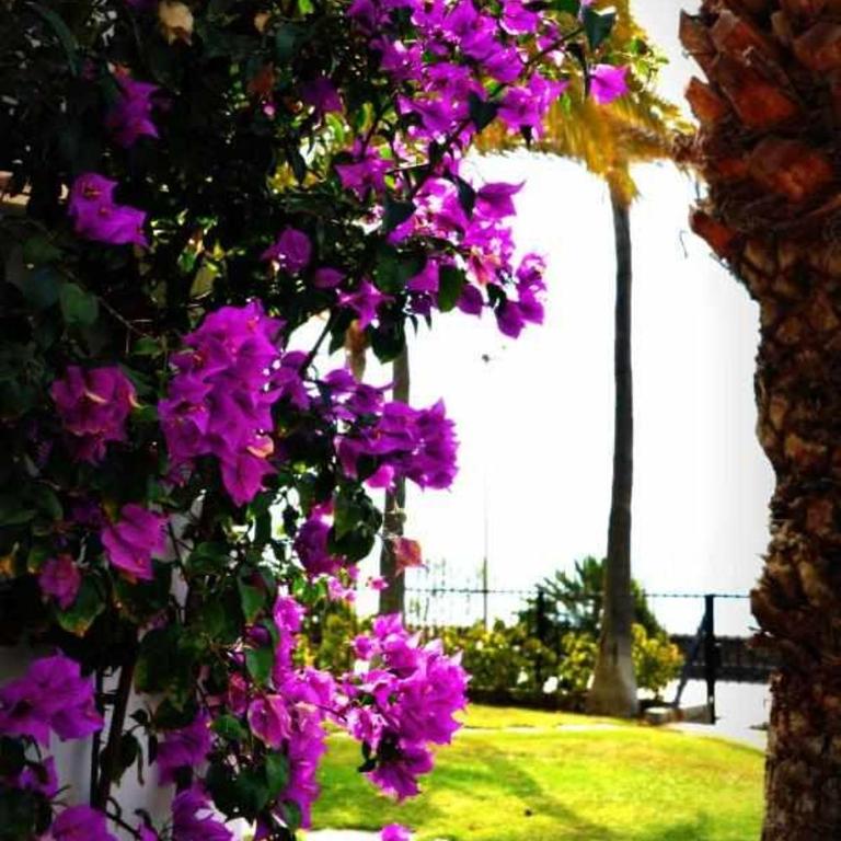 Los Arpones 5 - Apartamento con vistas a la piscina - 52