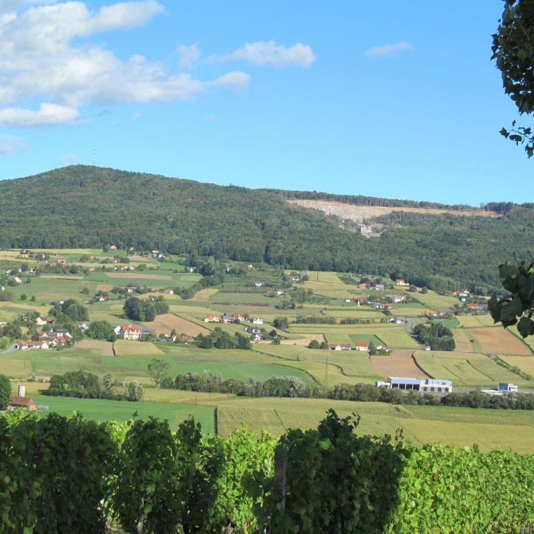 Appartement Weingut Schoberhof - Apartment mit Balkon - 4