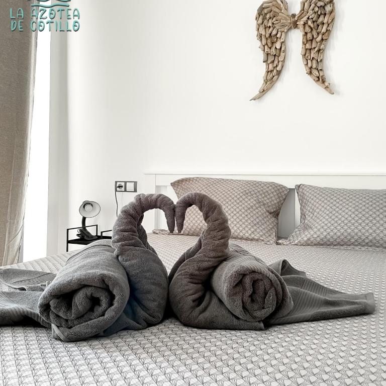 Azotea de Cotillo - Apartamento de 1 dormitorio - 36