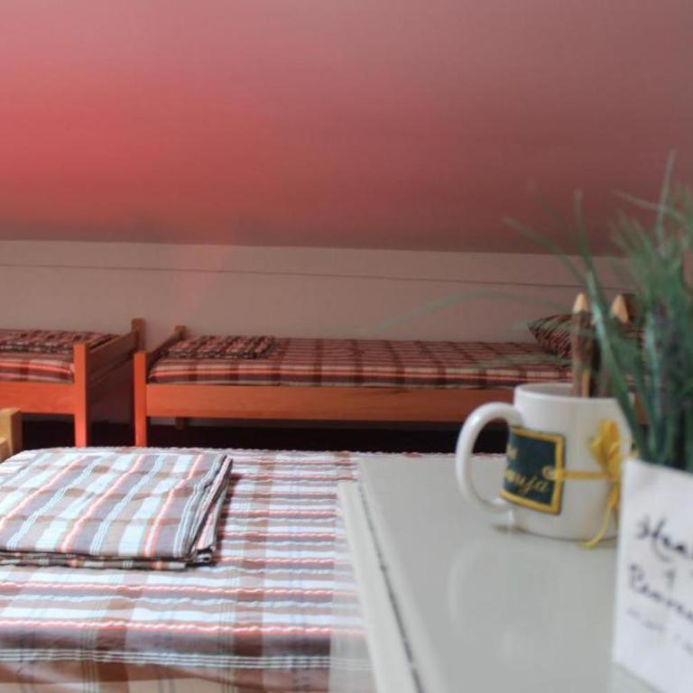 Belgrade Bicycle Hostel - Krevet za 1 Osobu u Mešovitoj Spavaonici - 4