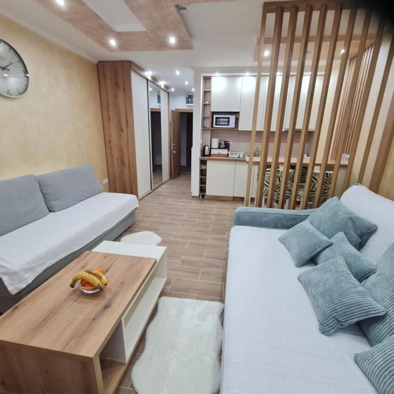 SWAN Kopaonik - Apartman sa 1 Spavaćom Sobom - 11