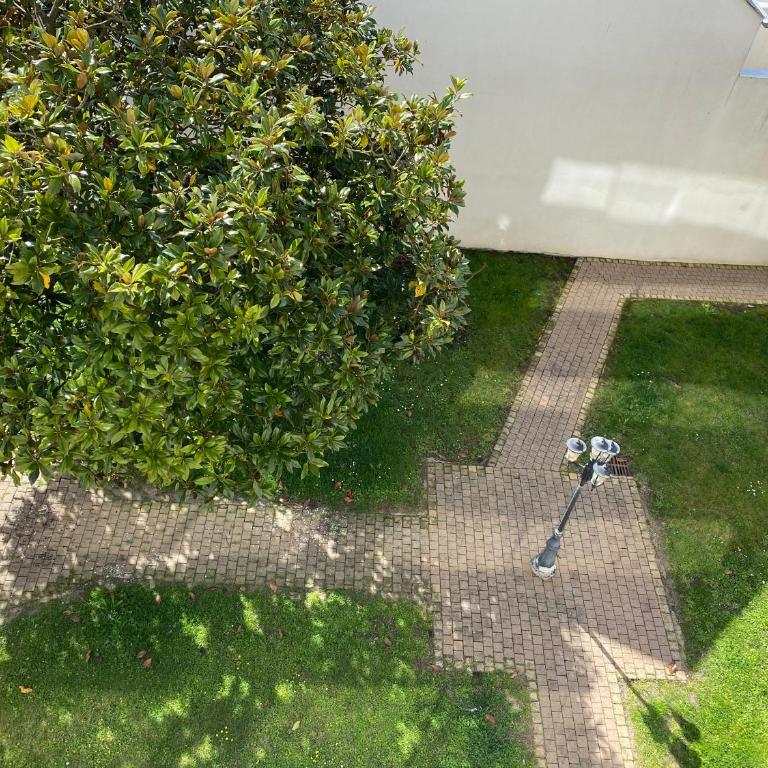 Le Kifanlo - Appartement avec une grande terrasse vue mer et plage à 100 m - Appartement 1 Chambre - 2