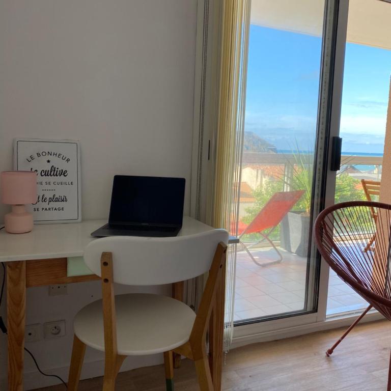 Le Kifanlo - Appartement avec une grande terrasse vue mer et plage à 100 m - Appartement 1 Chambre - 16
