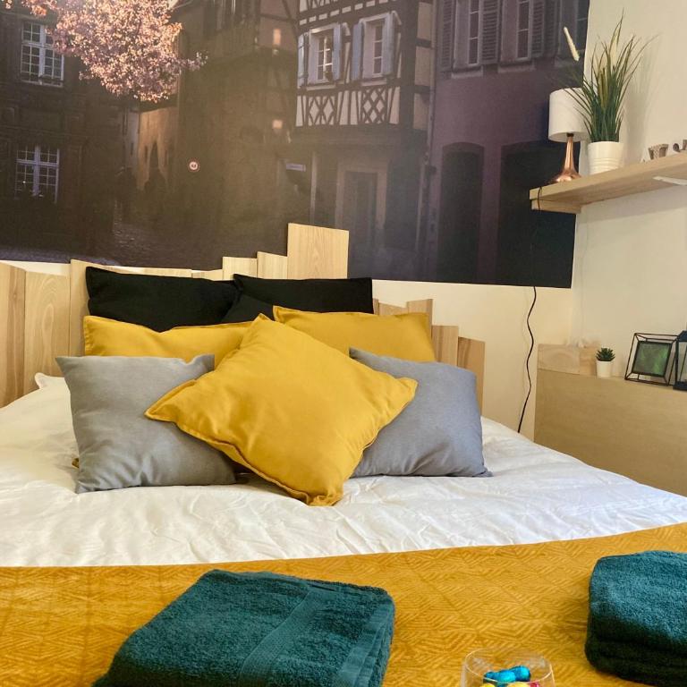Le Garden Studio Centre-ville Mulhouse - Appartamento con 1 Camera da Letto - 8