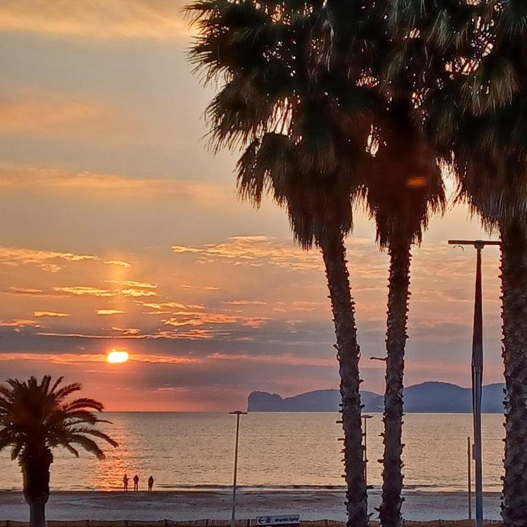 Orange Sunset, seaview & beach front - Appartamento con 1 Camera da Letto - 5