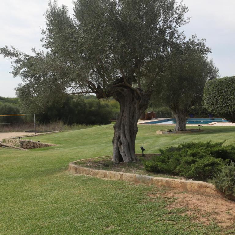 Villa Can Jaume - Villa - 12