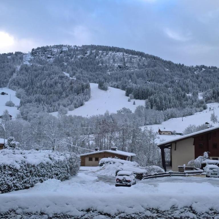 APPARTEMENT PRAZ VILLAGE - Appartement 1 Chambre - 3
