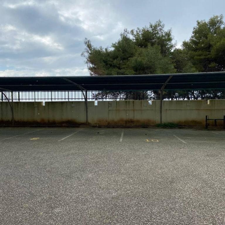 La Fenice sulla spiaggia - Appartamento con 2 Camere da Letto - 12