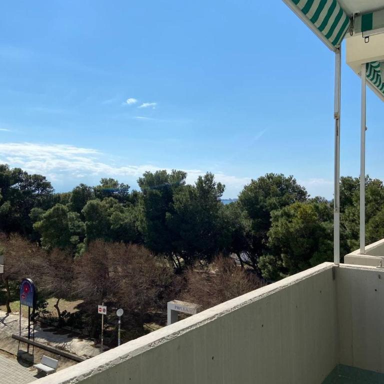 La Fenice sulla spiaggia - Appartamento con 2 Camere da Letto - 9