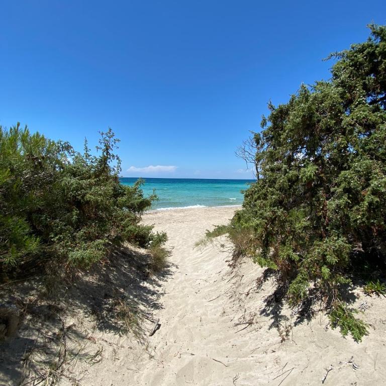 La Fenice sulla spiaggia - Appartamento con 2 Camere da Letto - 4