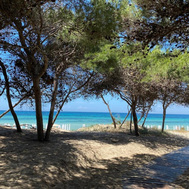 La Fenice sulla spiaggia - Appartamento con 2 Camere da Letto - 5