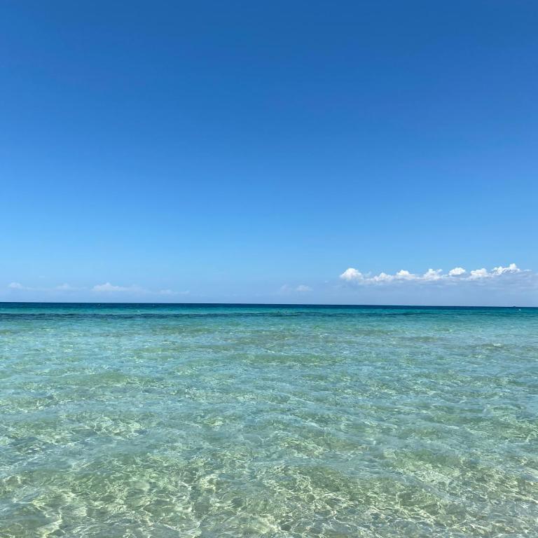 La Fenice sulla spiaggia - Appartamento con 2 Camere da Letto - 31