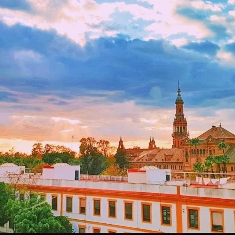 Plaza de España. Dreams - Apartamento de 3 dormitorios - 10
