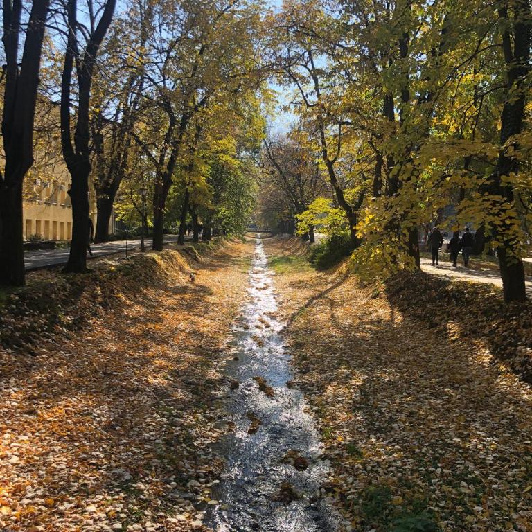 Apartman kod Vrapca - One-Bedroom Apartment - 28