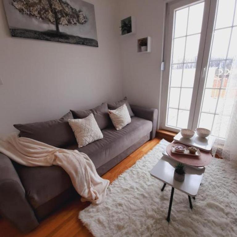 Lux Natural - One-Bedroom Apartment - 24