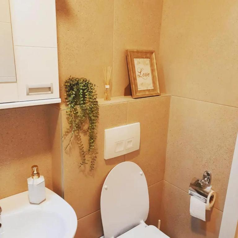 Lux Natural - One-Bedroom Apartment - 42