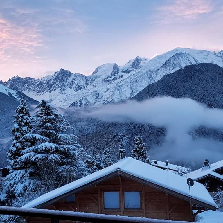 New Spacious Appart. Incredible view of Mt Blanc - Apartamento de 3 dormitorios - 7