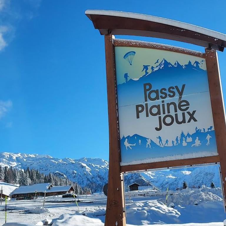New Spacious Appart. Incredible view of Mt Blanc - Apartamento de 3 dormitorios - 17