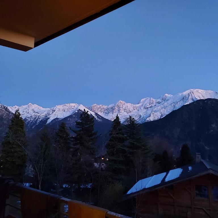 New Spacious Appart. Incredible view of Mt Blanc - Apartamento de 3 dormitorios - 19
