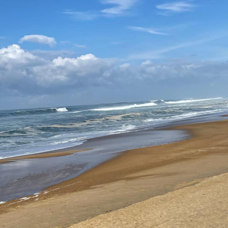 Appartement HOSSEGOR plage SUD Classé 3 étoiles - Apartment mit 2 Schlafzimmern - 62